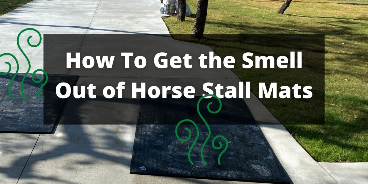 How To Get the Smell Out of Horse Stall Mats