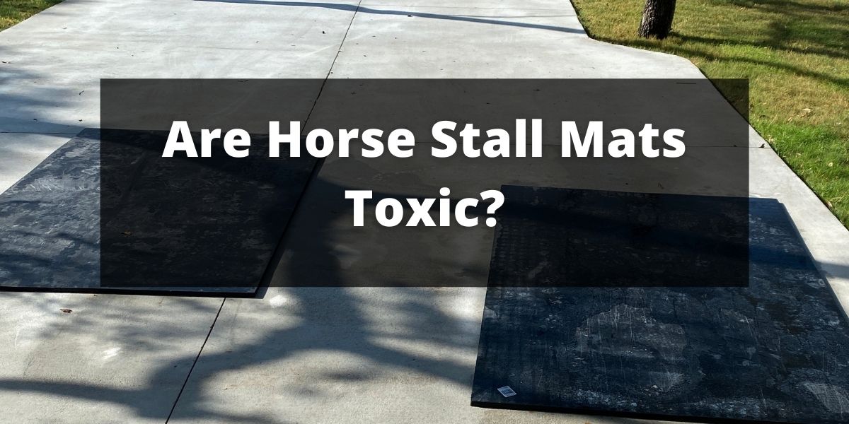 Are Horse Stall Mats Toxic? Home Gym Strength