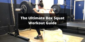 The Ultimate Box Squat Workout Guide