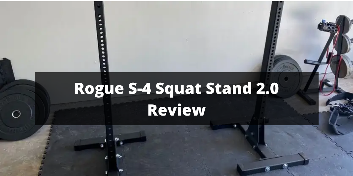 Rogue s4 squat discount stand