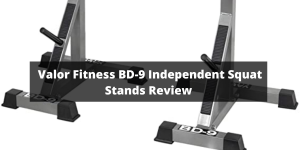 Valor Fitness BD-9 squat stand