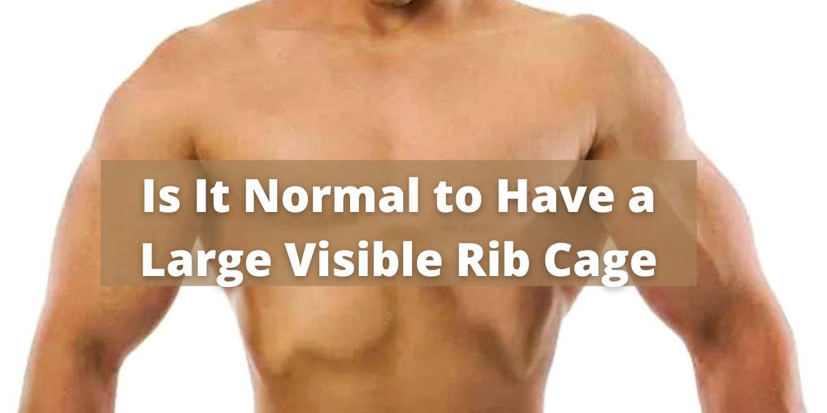 Is It Normal To Have A Large Visible Rib Cage